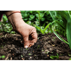 Love your Soil with Ingrid Foley - Saturday 27th May 2023